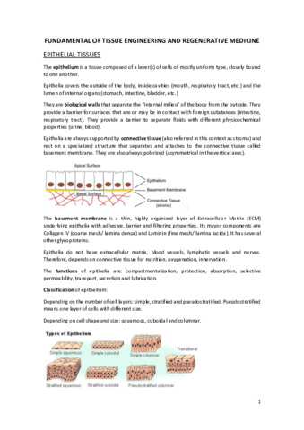 tejidos-parcial-1.pdf