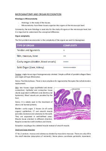 tejidos-post-parcial.pdf