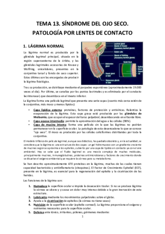 Tema-13.pdf