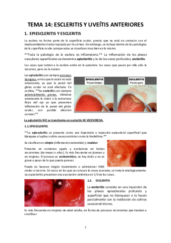 Tema-14-Uveitis-escleritis-epiescleritis.pdf