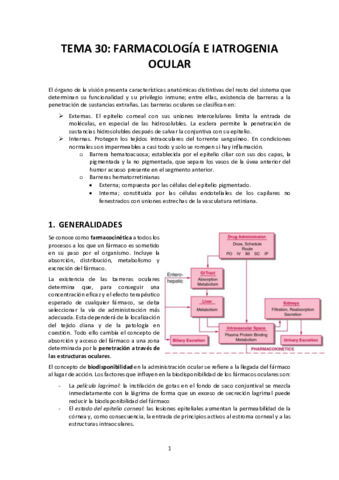 Tema-30.pdf