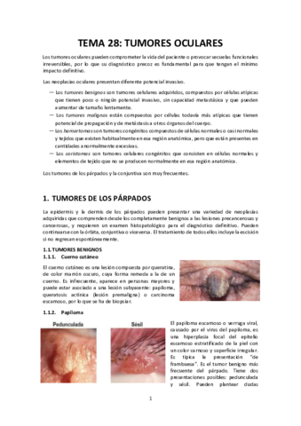 Tema-28.pdf