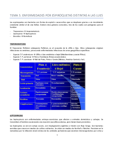 5-y-6-Espiroquetas-y-Rickettsias.pdf