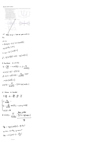 Ejercicios-tutelados-hamilton.pdf