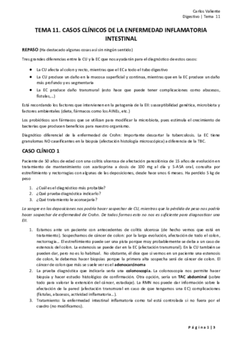 TEMA-11.pdf