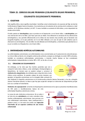 TEMA-25.pdf