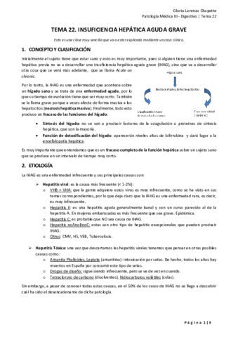 TEMA-22.pdf
