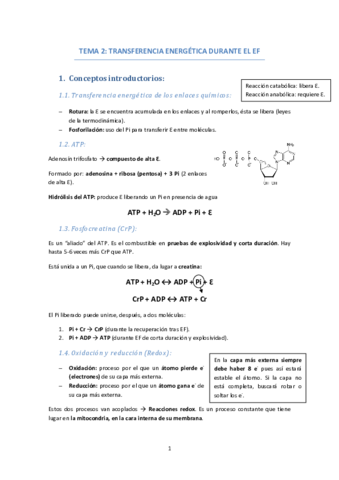 TEMA-2-TRANSFERENCIA-ENERGIA-EF.pdf