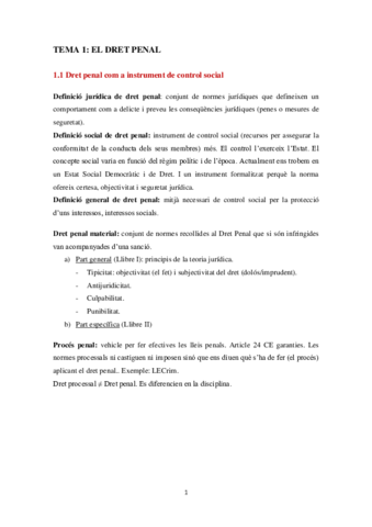 DERECHO PENAL I.pdf