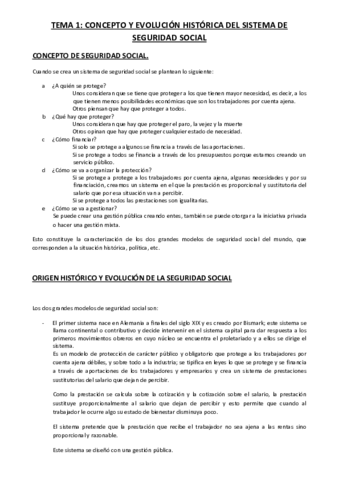 Derecho-de-la-Seguridad-Social-Tortuero-Plaza.pdf