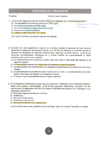 cuestiones-CC.pdf