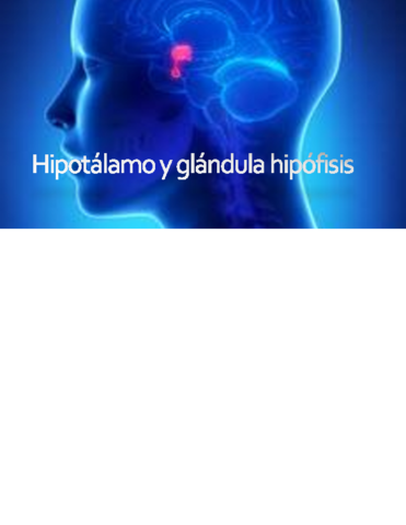 Sistema-Endocrino.pdf