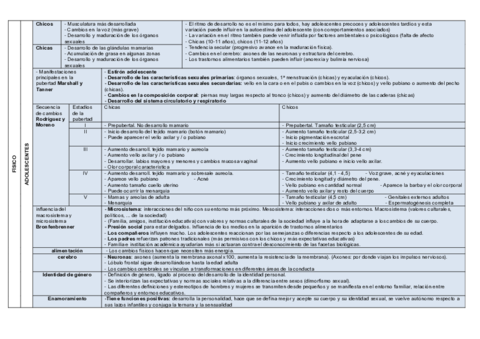 ESQUEMA-resumen-desarrollo-II.pdf