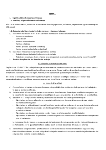 tema-1-resumido.pdf