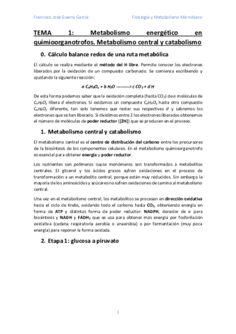 Tema-1.pdf