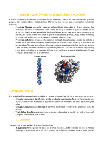 TEMA-2-Bioquimica.pdf