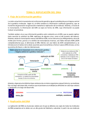 TEMA-5-Bioquimica.pdf