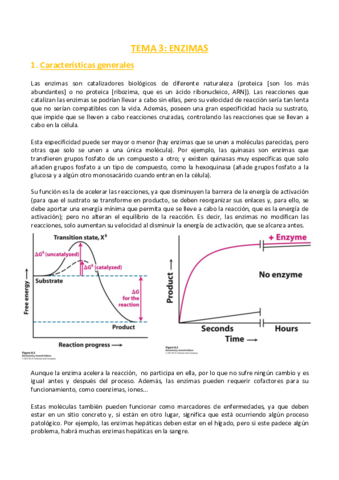 TEMA-3-Bioquimica.pdf