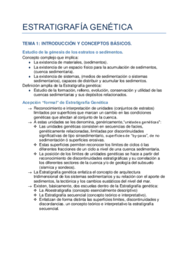 ESTRATIGRAFÍA GENÉTICA TEMA1.pdf