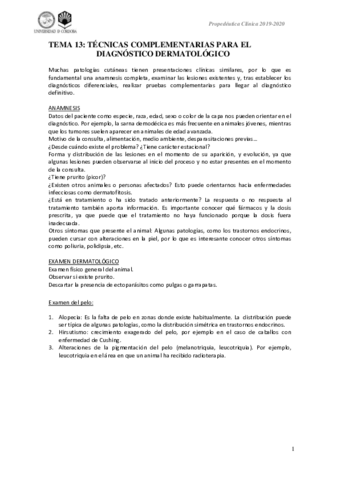 Tema-13-prope.pdf