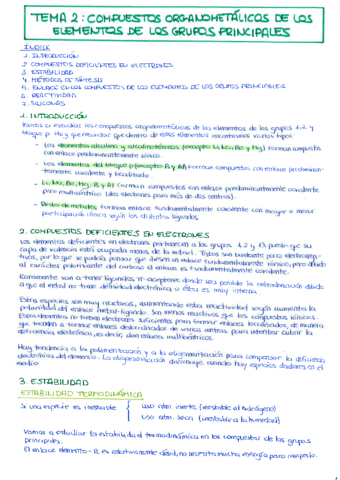 Tema-2-Compuestos-Organometalicos-de-los-elementos-de-grupos-principales.pdf