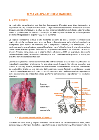 TEMA-28-Histologia.pdf