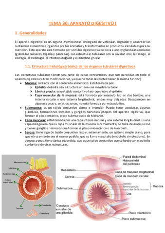 Tema-30-Histologia.pdf