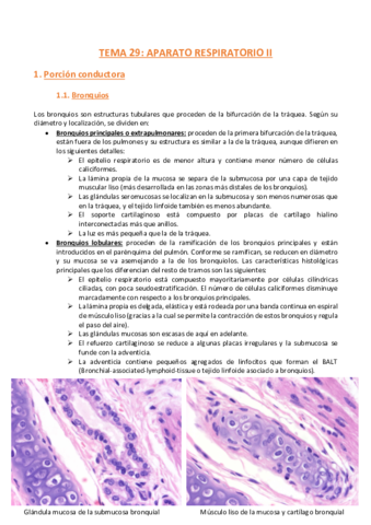 TEMA-29-Histologia.pdf