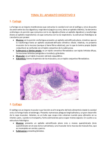 TEMA-31-Histologia.pdf