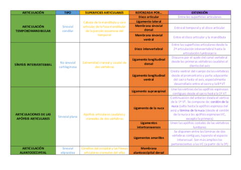 Articulaciones.pdf