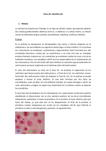 Tema-10.pdf