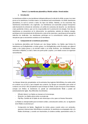 Tema-5.pdf