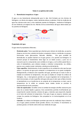 Tema-2.pdf