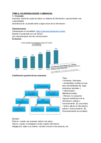 Tema-8-Vulnerabilidades-y-amenazas.pdf