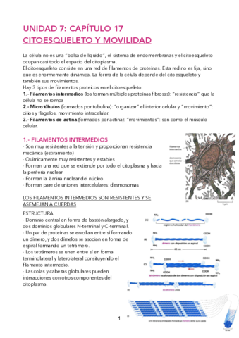 PDF-UD-7.pdf