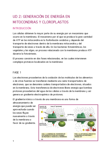 UD-3-BIOCEL-pdf.pdf