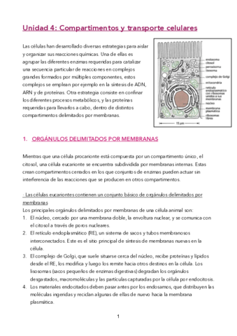 UD-4-TERMINADA-pdf.pdf