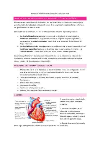 TODO-Sistema-Cardiovascular.pdf
