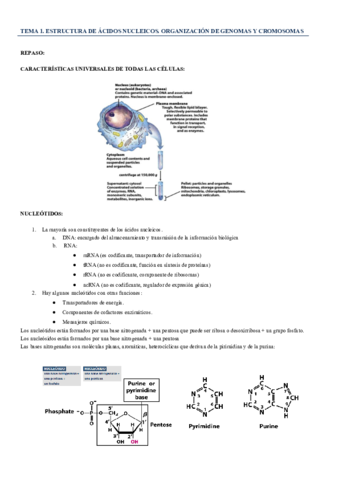 apuntes-bioquimica-2.pdf