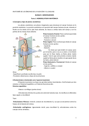 Mis-apuntes-anatomia.pdf