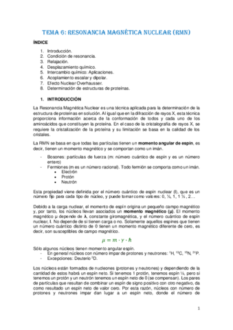 TEMA-6.pdf