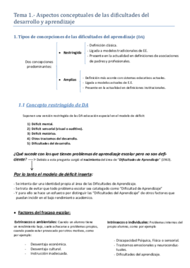 Tema 1_DIFICULTADES HECHO X MI.pdf