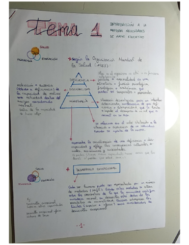 Tema-1-NAEA.pdf