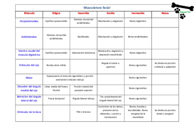 Musculatura facial.pdf