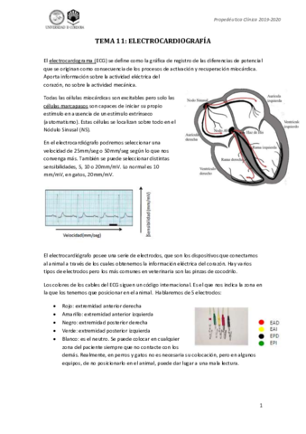 Tema-11-prope.pdf