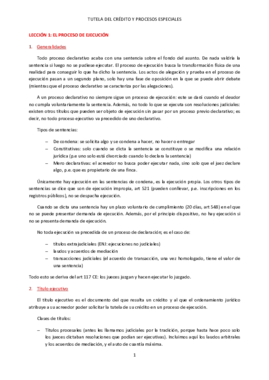 APUNTES TUTELA.pdf