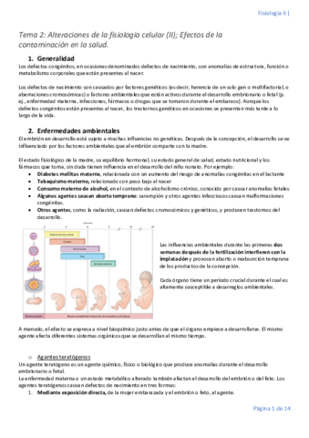 Tema-2.pdf