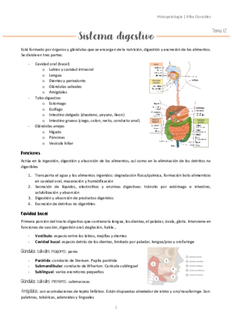 Tema-12-Sistema-digestivo.pdf