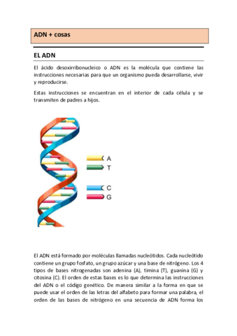 DNA.pdf