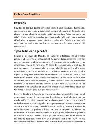 Reflex.pdf